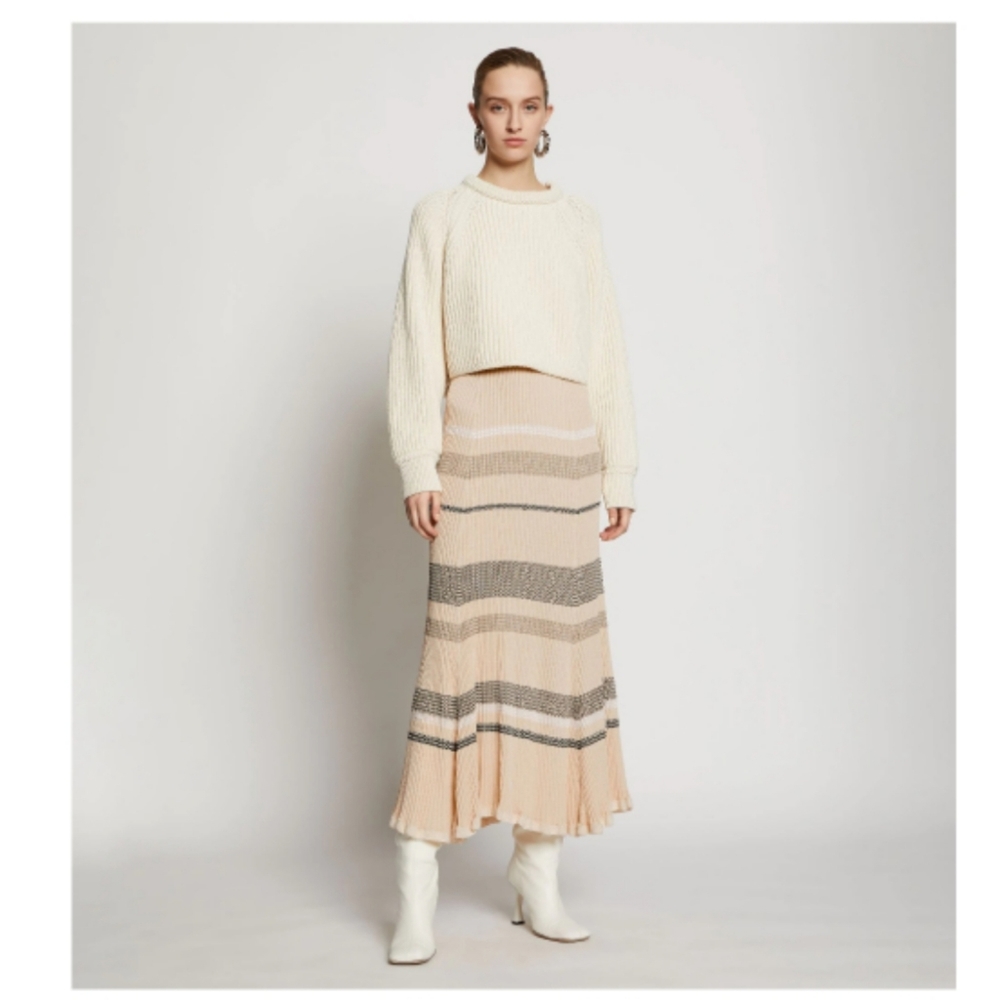 Proenza Schouler zig zag knit skirt
